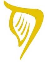 4. Shanghai-Ireland resized